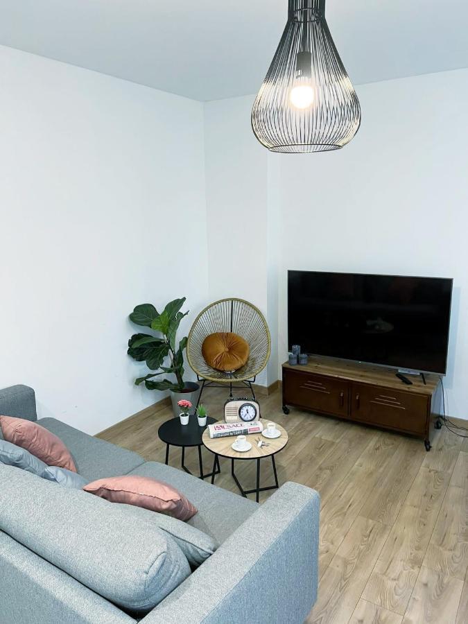 Le Convivial, Appartement Centre Ville Мюлуз Экстерьер фото